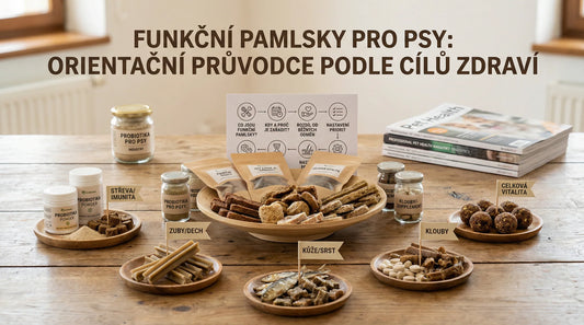 Funkční pamlsky pro psy: orientační průvodce podle cílů zdraví