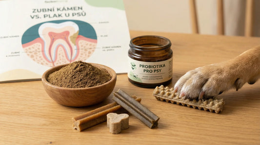 Zubní kámen vs. plak u psů: role hnědých řas a žvýkání u dentálních pamlsků