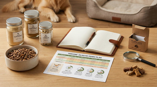 30/60/90denní plán pro citlivé trávení psa: probiotika, stolice a imunita
