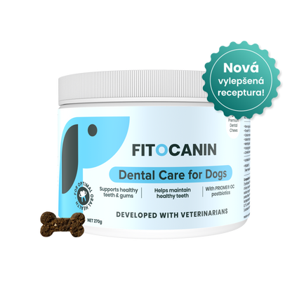 Dental Forte