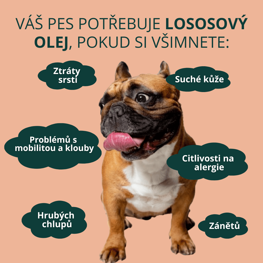 Lososový olej