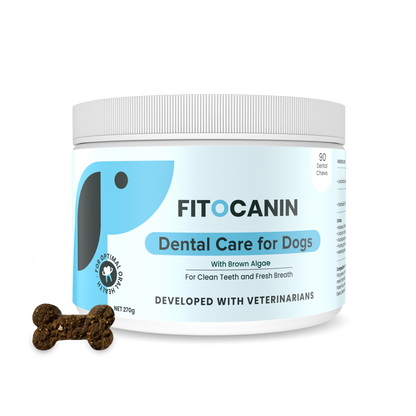 Dental Forte