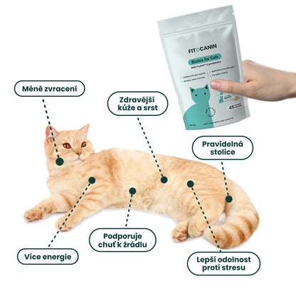 Feline Biome Forte