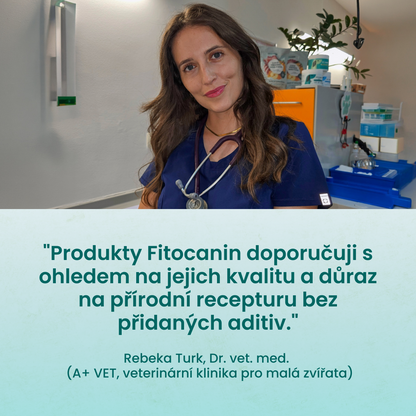 Holistic Forte